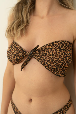 haut bandeau